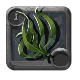 Seaweed