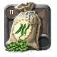 Bean Seeds