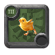 Baby Chickens