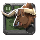 Journeyman's Ox