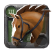 Journeyman's Riding Horse