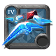 Adept's Rotten Crystal