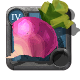 Turnips