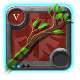 Expert's Great Nature Staff