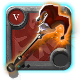 Expert's Leering Cane