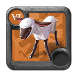 Lamb
